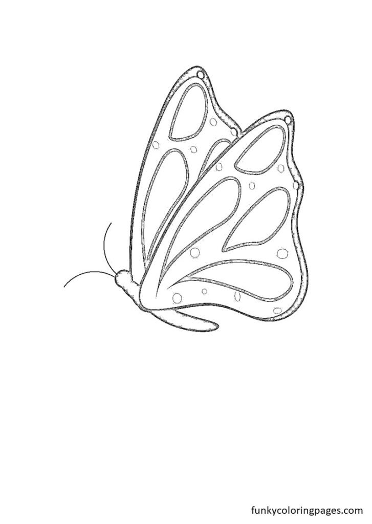 printable butterfly coloring pages for adults